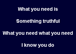 What you need is

Something truthful

What you need what you need

I know you do