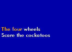The four wheels
Scare the cockafoos
