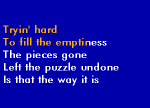 Tryin' hard
To till the emptiness

The pieces gone
Left the puzzle undone
Is that the way it is