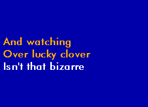 And watching

Over lucky clover
Isn't that bizarre