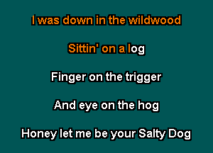 I was down in the wildwood
Sittin' on a log
Finger on the trigger

And eye on the hog

Honey let me be your Salty Dog