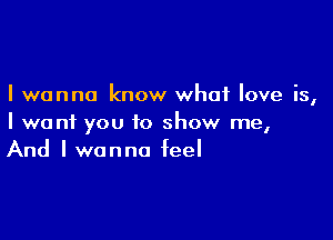 I wanna know what love is,

I want you to show me,
And I wanna IeeI