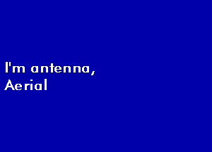I'm antenna,

Aerial