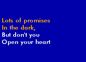 Lots of pro mises

In the dark,

Buf don't you
Open your heart
