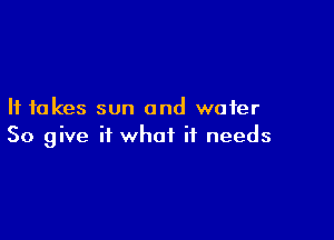 It takes sun and water

So give it what it needs