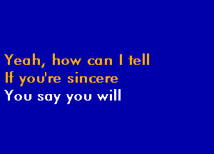 Yeah, how can I fell

If you're sincere
You say you will