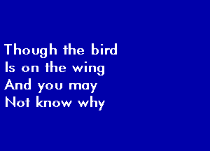 Though the bird

Is on the wing

And you may
Not know why