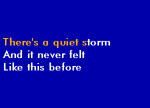 There's a quiet storm

And it never felt
Like this before