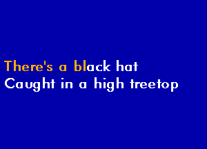 There's a black hat

Caught in a high freefop