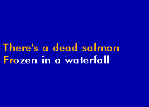 There's a dead salmon

Frozen in a waterfall