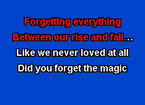 Forgetting everything
Between our rise and fall...
Like we never loved at all
Did you forget the magic