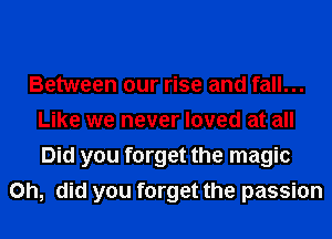 Between our rise and fall...
Like we never loved at all
Did you forget the magic

on, did you forget the passion