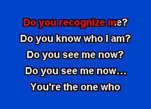 Do you recognize me?
Do you know who I am?

Do you see me now?

Do you see me now...
You're the one who