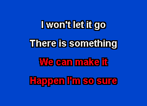 I won't let it go

There is something

We can make it

Happen I'm so sure