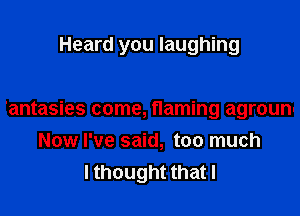 Heard you laughing

'antasies come, flaming agrounn
Now I've said, too much
I thought that l