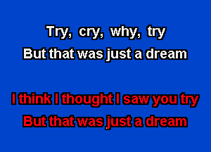 Try, cry, why, try
But that was just a dream

I think I thought I saw you try
But that was just a dream