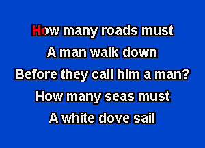 How many roads must
A man walk down

Before they call him a man?

How many seas must
A white dove sail