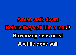 A man walk down

Before they call him a man?

How many seas must
A white dove sail