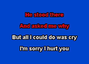 He stood there

And asked me why

But all I could do was cry

I'm sorry I hurt you