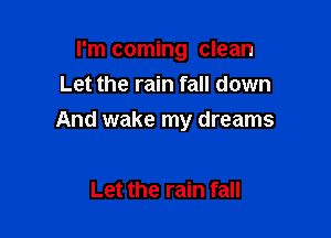 I'm coming clean
Let the rain fall down

And wake my dreams

Let the rain fall