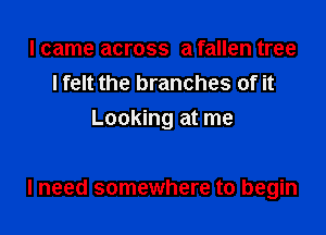 I came across a fallen tree
lfelt the branches of it
Looking at me

I need somewhere to begin