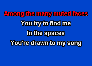 Among the many muted faces
You try to fund me
In the spaces

You're drawn to my song