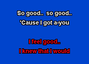 So good.. so good..
'Cause I got a-you

I feel good..
I knew that I would