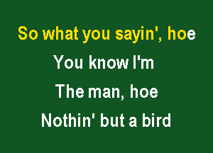 So what you sayin', hoe

You know I'm
The man, hoe
Nothin' but a bird