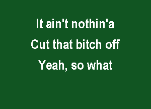 It ain't nothin'a
Cut that bitch off

Yeah, so what