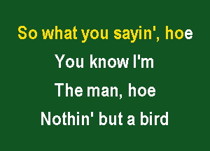 So what you sayin', hoe

You know I'm
The man, hoe
Nothin' but a bird