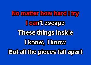 No matter how hard I try
I cam escape

These things inside

I know, I know
But all the pieces fall apart