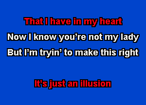 That I have in my heart
Now I know you,re not my lady

But Pm trying to make this right

Ifs just an illusion