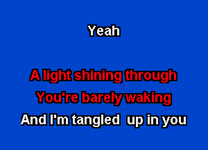 Yeah

A light shining through

You're barely waking
And I'm tangled up in you