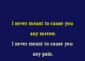 I never meant to cause you

any SOITOW.

I never meant to cause you

any pain.