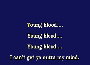 Young blood...
Young blood....
Young blood....

I can't get ya outta my mind.