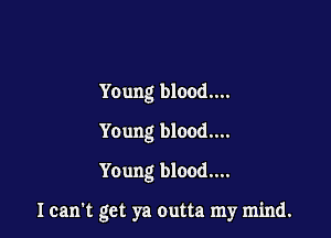 Young blood...
Young blood...
Young blood....

I can't get ya outta my mind.