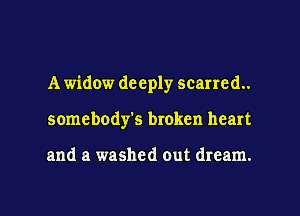 A widow deeply scarred.
somebody's broken heart

and a washed out dream.

g