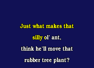 Just what makes that
silly of ant.

think he'll move that

rubber tree plant?