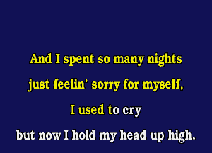 And I spent so many nights
just feelin' sorry for myself.
I used to cry

but now I hold my head up high.