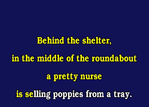 Behind the shelter.
in the middle of the roundabout
a pretty nurse

is selling poppies from a tray.