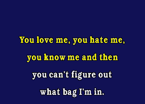 You love me. you hate me.

you know me and then

you can't figure out

what bag I'm in.