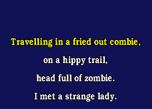 Travelling in a fried out combie.
on a hippy trail.

head full of zombie.

I met a strange lady.