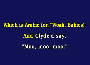 Which is Arabic for. Woah. Babies!

And Clyde'd say.

Moo. moo. moo.