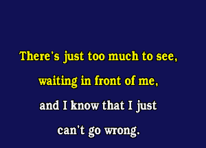 There's just too much to see.

waiting in front of me.

and I know that I just

can't go wrong.