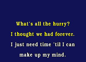 What's all the hurry?
I thought we had forever.
I just need time 'til I can

make up my mind.