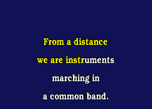 From a distance

we are instruments

marching in

a common band.