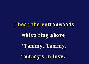 I hear the cottonwoods

whisp'ring above.

Tammy. Tammy.

Tammy's in love.