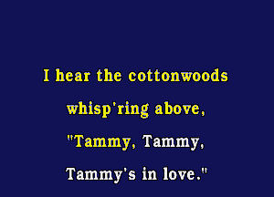 I hear the cottonwoods

whisp'ring above,

Tammy. Tammy.

Tammy's in love.