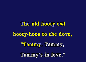 The old hooty owl

hooty-hoos to the dove,

Tammy. Tammy.

Tammy's in love.