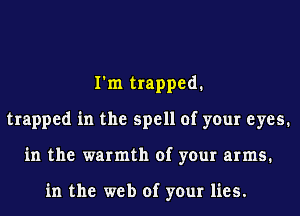 I'm trapped.
trapped in the spell of your eyes.
in the warmth of your arms.

in the web of your lies.